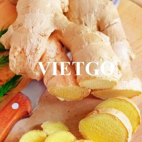 Thương vụ xuất khẩu gừng sang thị trường Bangladesh