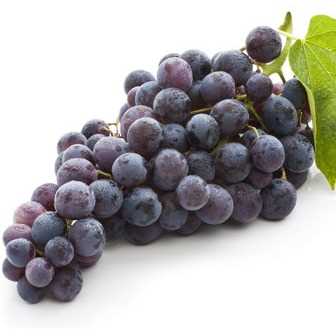 I AM LOOKING FOR GRAPE FRUIT