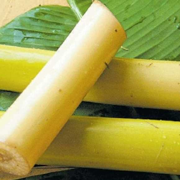 i'm looking for Banana Stem