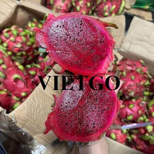 Cơ hội xuất khẩu thanh long ruột đỏ sang thị trường Trung Quốc