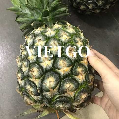 Cơ hội xuất khẩu dứa Queen sang thị trường Tây Ban Nha