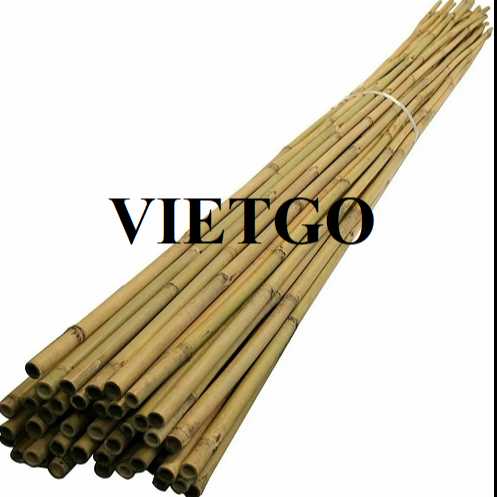 Cơ hội xuất khẩu gậy tre sang thị trường Ả Rập Xê Út