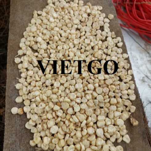 Cơ hội hợp tác xuất khẩu ngô sang thị trường Trung Quốc