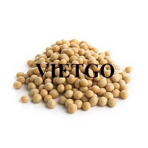 Cơ hội hợp tác xuất khẩu đậu nành sang thị trường Thổ Nhĩ Kỳ