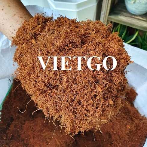 Cơ hội xuất khẩu mụn xơ dừa sang thị trường Malaysia