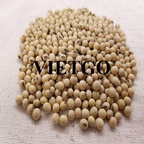 Thương vụ hợp tác xuất khẩu đậu nành đến thị trường Nga