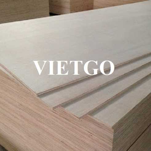 Thương vụ xuất khẩu ván MDF sang thị trường Qatar