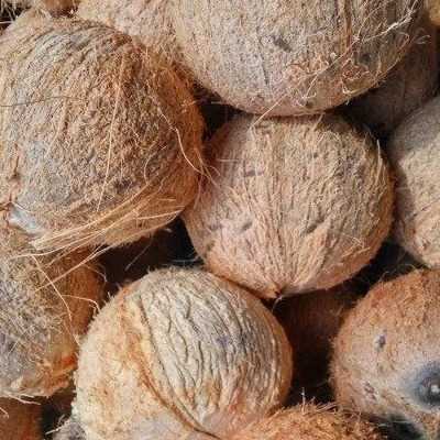 I AM LOOKING FOR COCONUT