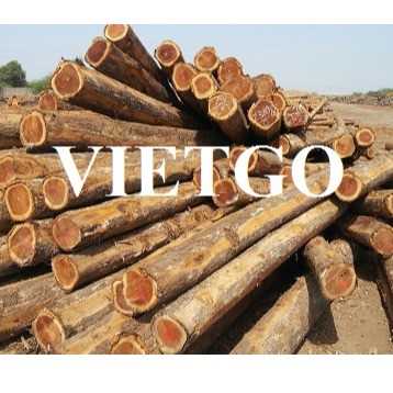 Thương vụ xuất khẩu gỗ teak tròn sang thị trường Ấn Độ