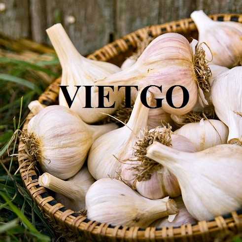 Thương vụ xuất khẩu tỏi cùng vị khách hàng đến từ Jordan