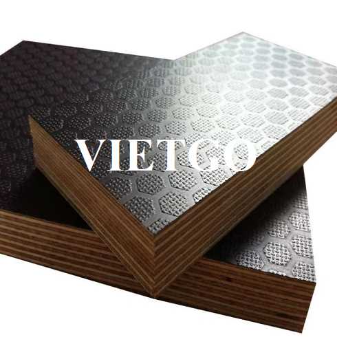 Thương vụ xuất khẩu gỗ dán hexa đến thị trường Đức