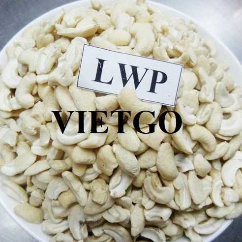 Cơ hội hợp tác xuất khẩu hạt điều sang thị trường Ấn Độ