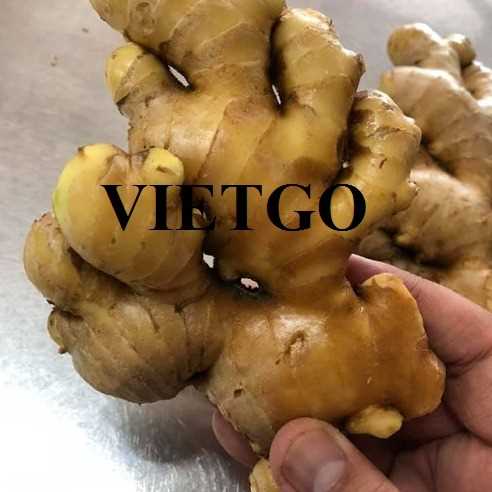 Thương vụ hợp tác xuất khẩu gừng tươi đến thị trường Bangladesh