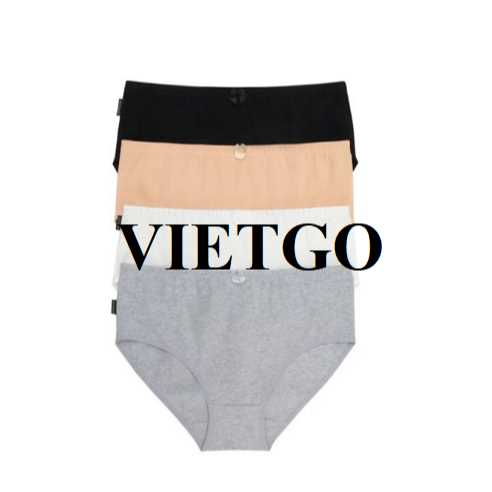 Cơ hội xuất khẩu đồ nội y nữ sang thị trường Nga