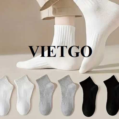 Cơ hội xuất khẩu bít tất sang thị trường Vương quốc Anh