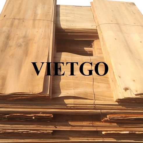 Thương vụ xuất khẩu ván bóc sang thị trường Trung Quốc