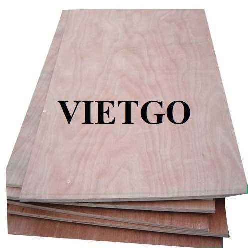 Thương vụ xuất khẩu gỗ dán sang thị trường Ấn Độ 