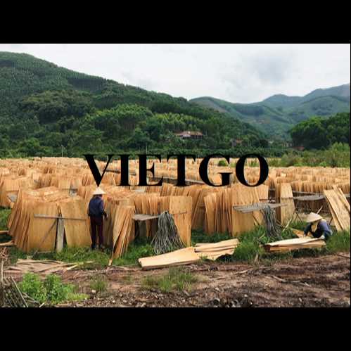 Thương vụ xuất khẩu ván bóc đến thị trường Ấn Độ