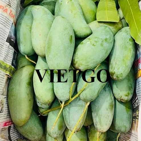 Cơ hội hợp tác xuất khẩu xoài sang thị trường Thổ Nhĩ Kỳ