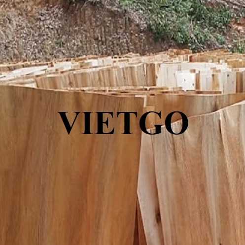Thương vụ xuất khẩu ván bóc sang thị trường Trung Quốc