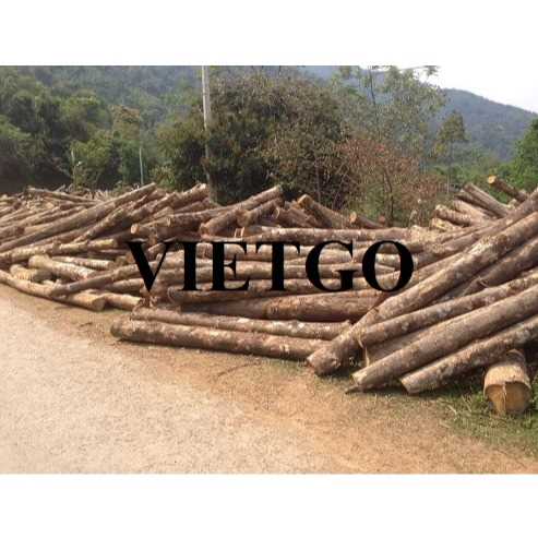 Thương vụ xuất khẩu gỗ teak tròn sang thị trường Ấn Độ 