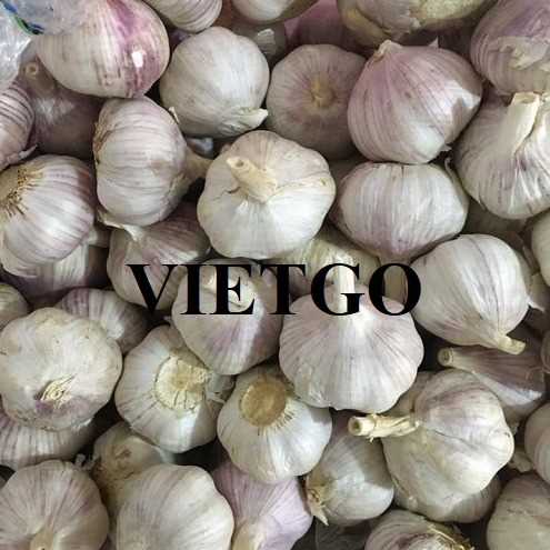 Cơ hội cung cấp sản phẩm tỏi cho chuỗi siêu thị tại Brazil