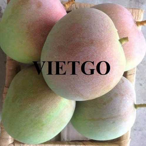 Thương vụ xuất khẩu xoài Úc sang thị trường UAE