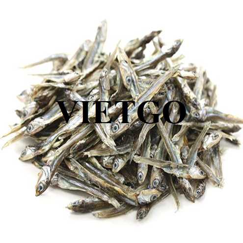 Thương vụ hợp tác xuất khẩu cá cơm khô đến thị trường Sri Lanka