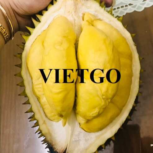 Cơ hội xuất khẩu sầu riêng sang thị trường Nhật Bản
