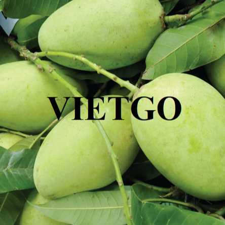 Cơ hội xuất khẩu xoài Cát Chu sang thị trường Nhật Bản