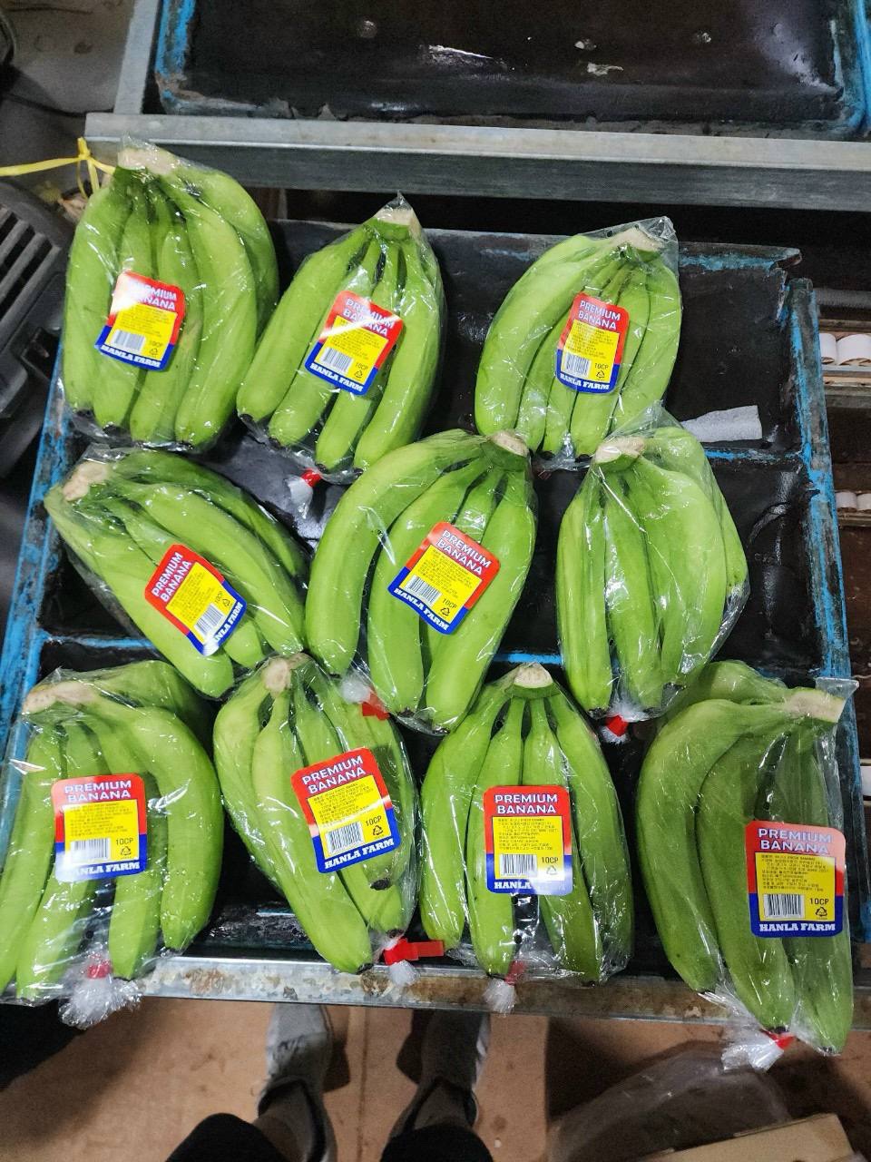 Cần tìm cước biển mặt hàng chuối đi Pháp