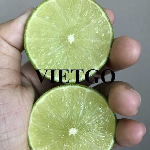 Cơ hội xuất khẩu chanh sang thị trường Thổ Nhĩ Kỳ