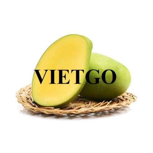 Thương vụ hợp tác xuất khẩu xoài Keo, xoài Cát Chu và xoài Hòa Lộc sang thị trường Hàn Quốc