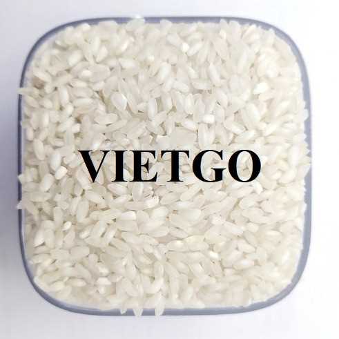 Cơ hội hợp tác xuất khẩu gạo đến thị trường Ả Rập Xê Út