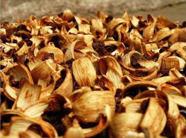 Cần tìm đơn vị vận chuyển quả Cau khô từ Myanmar về Việt Nam