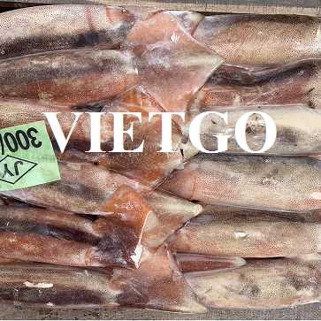 Cơ hội xuất khẩu mực sang thị trường Hàn Quốc