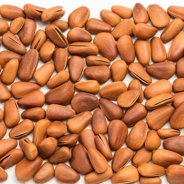 I AM LOOKING FOR PINE NUT