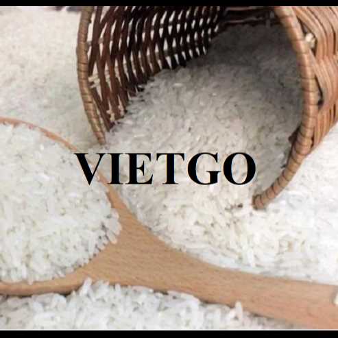 Cơ hội xuất khẩu gạo cùng với vị khách hàng đến từ Hoa Kỳ