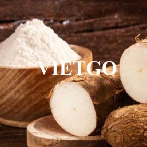 Thương vụ hợp tác xuất khẩu tinh bột sắn đến thị trường Trung Quốc