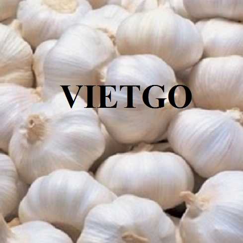 Cơ hội hợp tác xuất khẩu tỏi đến thị trường Ả Rập Xê Út