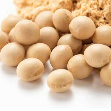 I AM LOOKING FOR SOYBEAN