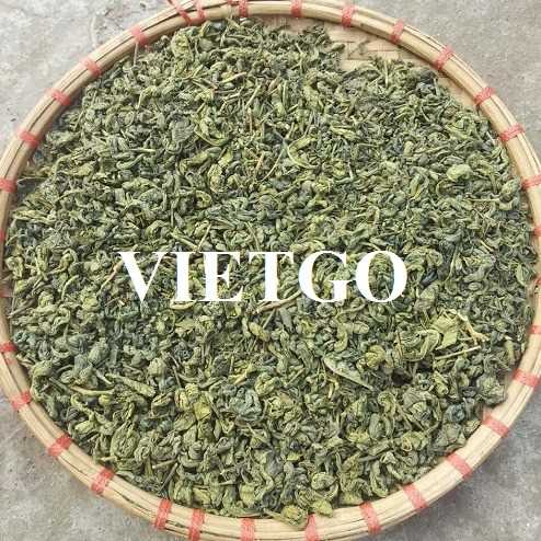 Cơ hội xuất khẩu chè xanh sang thị trường Afghanistan