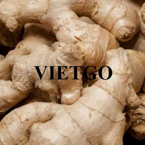Cơ hội hợp tác xuất khẩu gừng tươi đến thị trường Bangladesh 