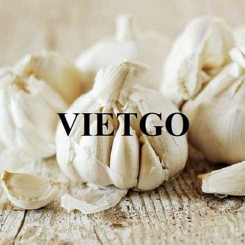 Cơ hội hợp tác xuất khẩu tỏi trắng sang thị trường Ấn Độ