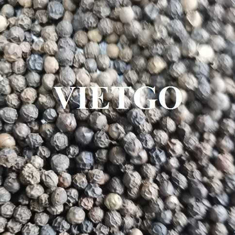 Cơ hội xuất khẩu hạt tiêu đen tới thị trường Trung Quốc 