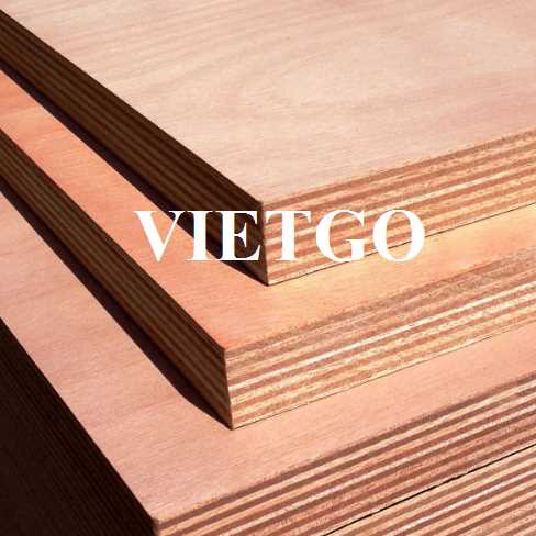 Thương vụ xuất khẩu gỗ dán đến thị trường Ấn Độ 