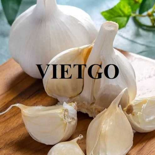 Cơ hội hợp tác xuất khẩu tỏi đến thị trường Ấn Độ