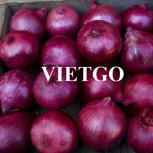 Thương vụ hợp tác xuất khẩu hành đến thị trường Ả Rập Xê Út.