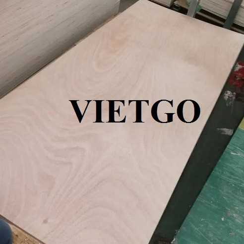 Thương vụ xuất khẩu gỗ dán sang thị trường Ấn Độ