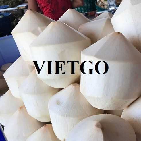 Cơ hội xuất khẩu dừa tới thị trường Estonia